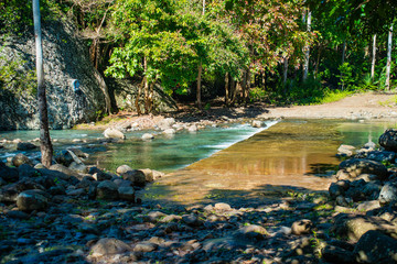 Ile Maurice - Parc National des Gorges de Rivière Noire - Bassin