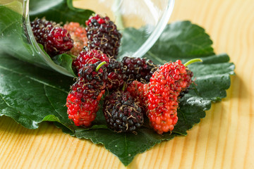 Fresh mulberry, black ripe and red unripe mulberries on wooden backgrounds, Mulberry this a fruit, Healthy berry fruit and healthy eating concept.