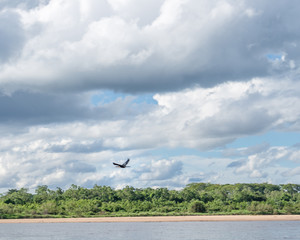 Araguaia 