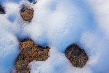 Snow in melting, with spots of dry grass forming strange abstract figures.