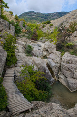 Fototapeta na wymiar bridge over a creek in the mountains