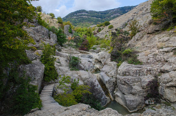 bridge over a creek in the mountains