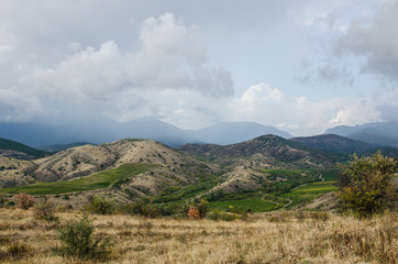 natural background vineyard in the mountains