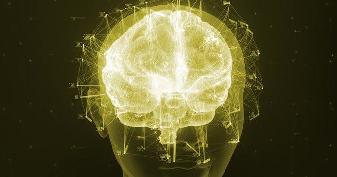 3D zoom render of a holographic digital style human brain conveying the idea of artificial intelligence, bio hacking and the fusion of nature and technology