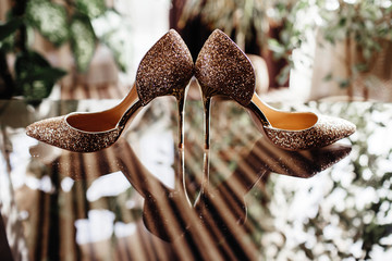 mushrooms in a basket