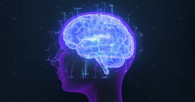 3D seamless loop render of a holographic digital style human brain conveying the idea of artificial intelligence, bio hacking and the fusion of nature and technology