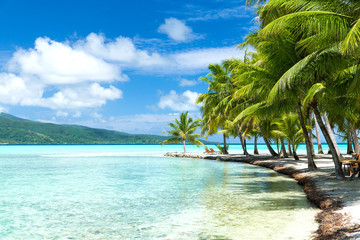travel, seascape and nature concept - tropical beach with palm trees and sunbeds in french polynesia