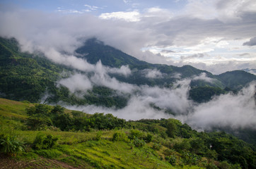 Fototapeta na wymiar Landscape with sea of foggy awakening in a beautiful hills at Thailand.
