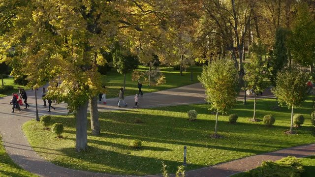 Aerial view people walking in colorful autumn public park at sunny day drone