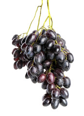 Ripe sweet grapes on white background