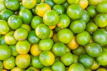 Citrons verts