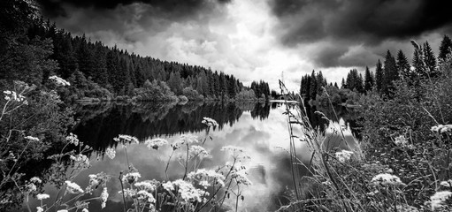 Panele Szklane  jezioro w lesie, Sumava - park narodowy, Czechy, Europa