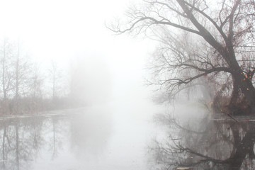 fog on the water