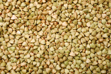 Green buckwheat, for backgrounds or textures