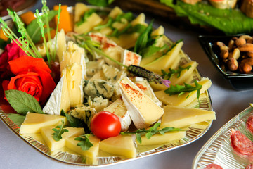 Different types delicacies of meat and cheese arranged in a plate over light background - selective focus