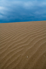 sand dunes in the desert