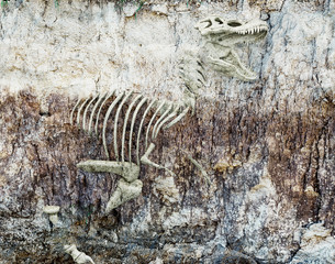 Fototapeta na wymiar dinosaur skeleton. 3d 