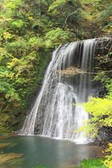 【千葉】　四方木不動滝