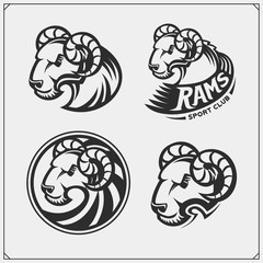 Labels, emblems and design elements for sport club with rams. Print design for t-shirts.