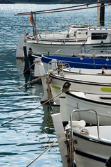 fishing boats in harbor