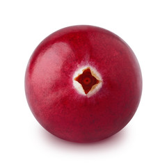 Ripe cranberry isolated on a white background.