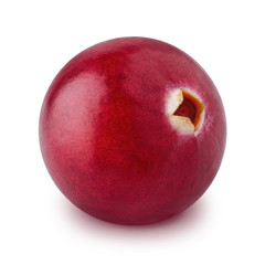 Single cranberry isolated on a white background.