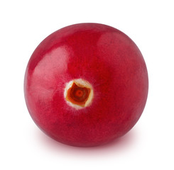 Single cranberry isolated on a white background.