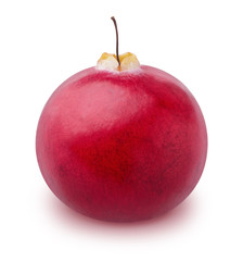 Ripe cranberry isolated on a white background.