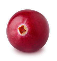 Macro of cranberry isolated on a white background.
