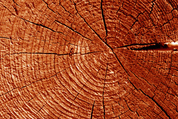 Old log cut macro in orange tone.