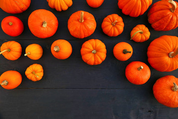 Orange pumpkins border with copy space.