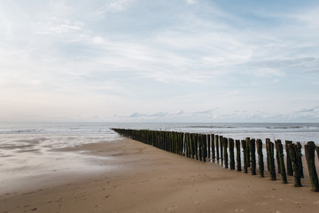 Timber Piles at Dunkirke to protect the Beach / France