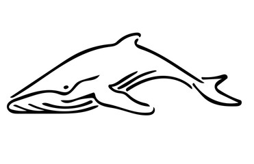 Whale