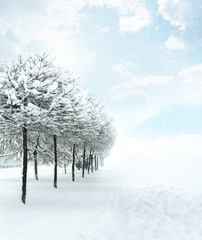 Fototapeta na wymiar Winter Christmas snow scene
