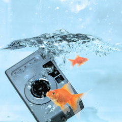 Unterwasserkamera