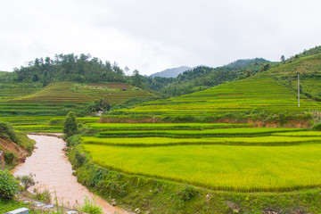 Beautiful view of rice terrace, mu cang chai, vietnam