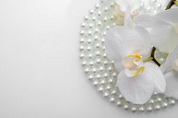 pearl and white orchid on a white glas 