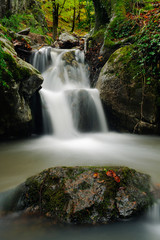 Obraz premium Summer river
