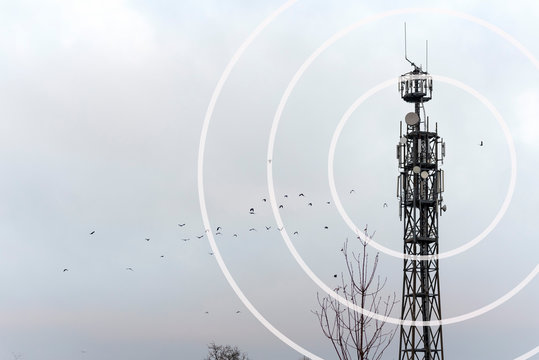 Sendemast Strahlung