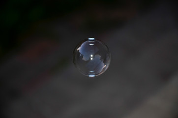 flying soap bubble on a dark background
