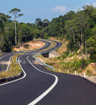 asphalt road in jungle