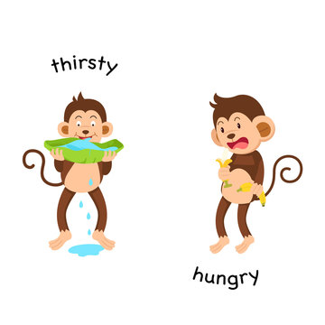 Opposite thirsty and hungry vector illustration