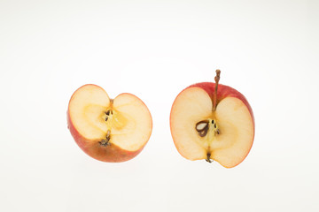 リンゴ　アルプス乙女　長野県産　白抜き