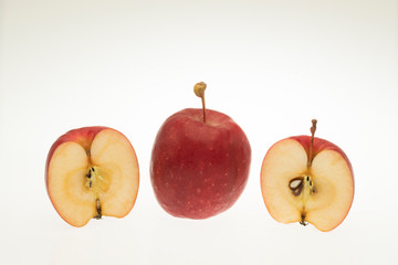 リンゴ　アルプス乙女　長野県産　白抜き