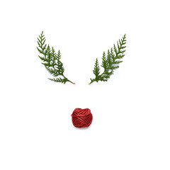 Symbolic reindeer face made with green twigs and red twine. White background. Christmas concept