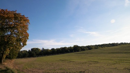 Fototapeta premium End of summer - autumn trees and fields. Mechelinki, Poland.