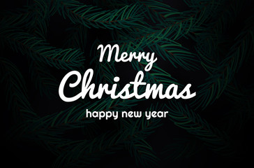 Party Poster and Happy New Year background. tree branches. Merry Christmas Festive Card. Copy space.