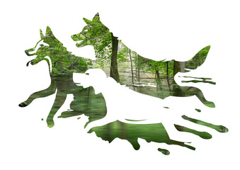 Three running dogs in a forest.
Three stylized dog silhouettes on on blurred green forest photo. 