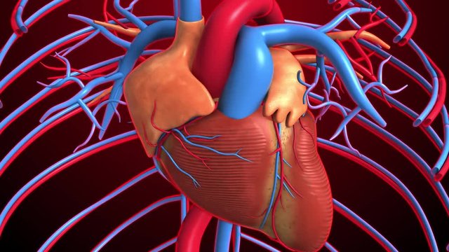 3D render footage fo heart beat
