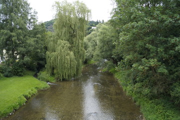 Fototapeta premium Flusslandschaft